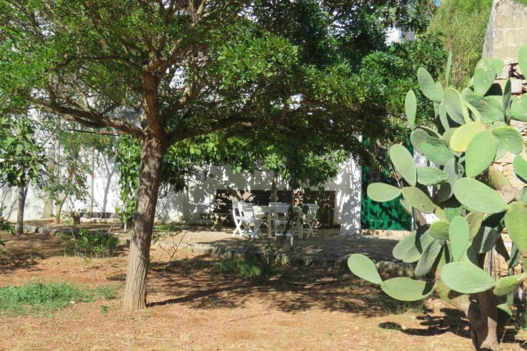 Casa Colonica Villa Gallipoli Eksteriør billede