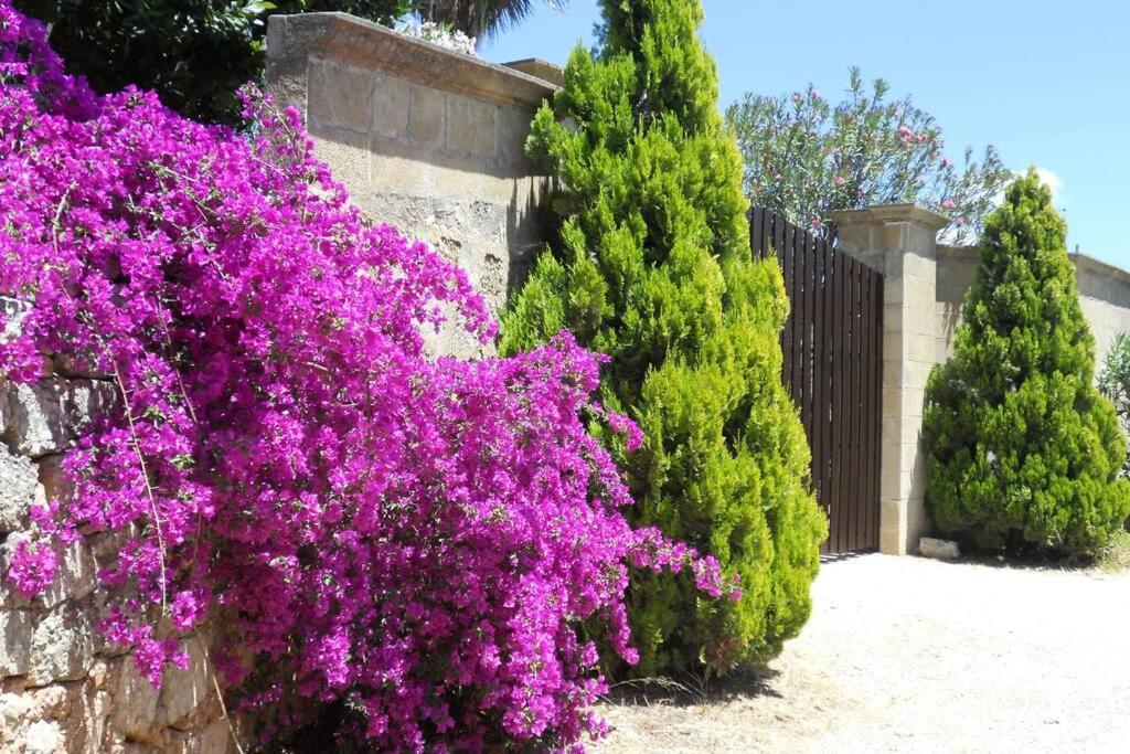 Casa Colonica Villa Gallipoli Eksteriør billede