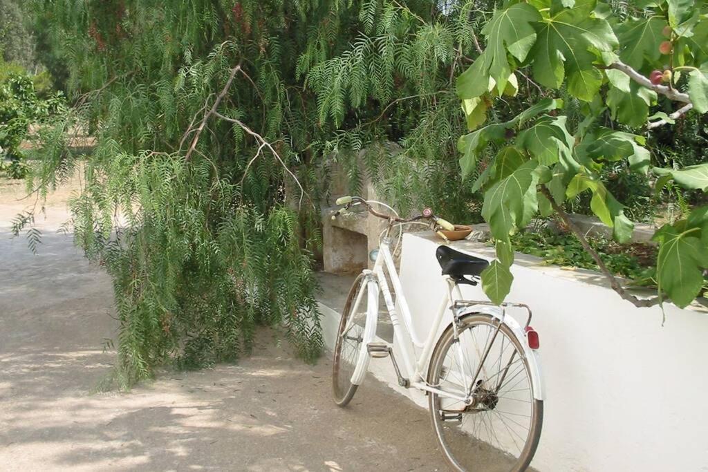 Casa Colonica Villa Gallipoli Eksteriør billede